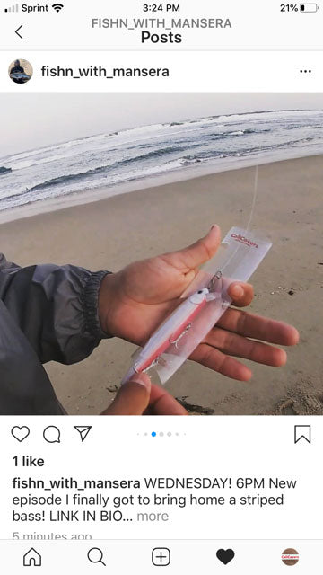 SIZE: NorCal - 5 Pk /  6"-7" (150-175mm) Baits
