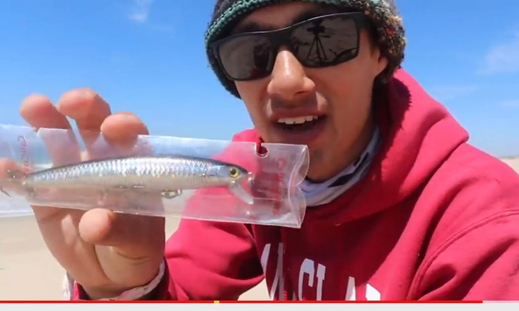 SIZE:  Pro - 5 Pk / 4" - 5" (90-110mm) Baits